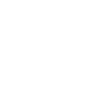 CONCALL - Telefonmarketing für Kärnten - Iconset abgestimmt auf Ihre Bedürfnisse