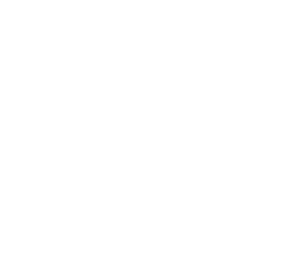 CONCALL - Telefonmarketing für Kärnten - Iconset Fragen und Antworten